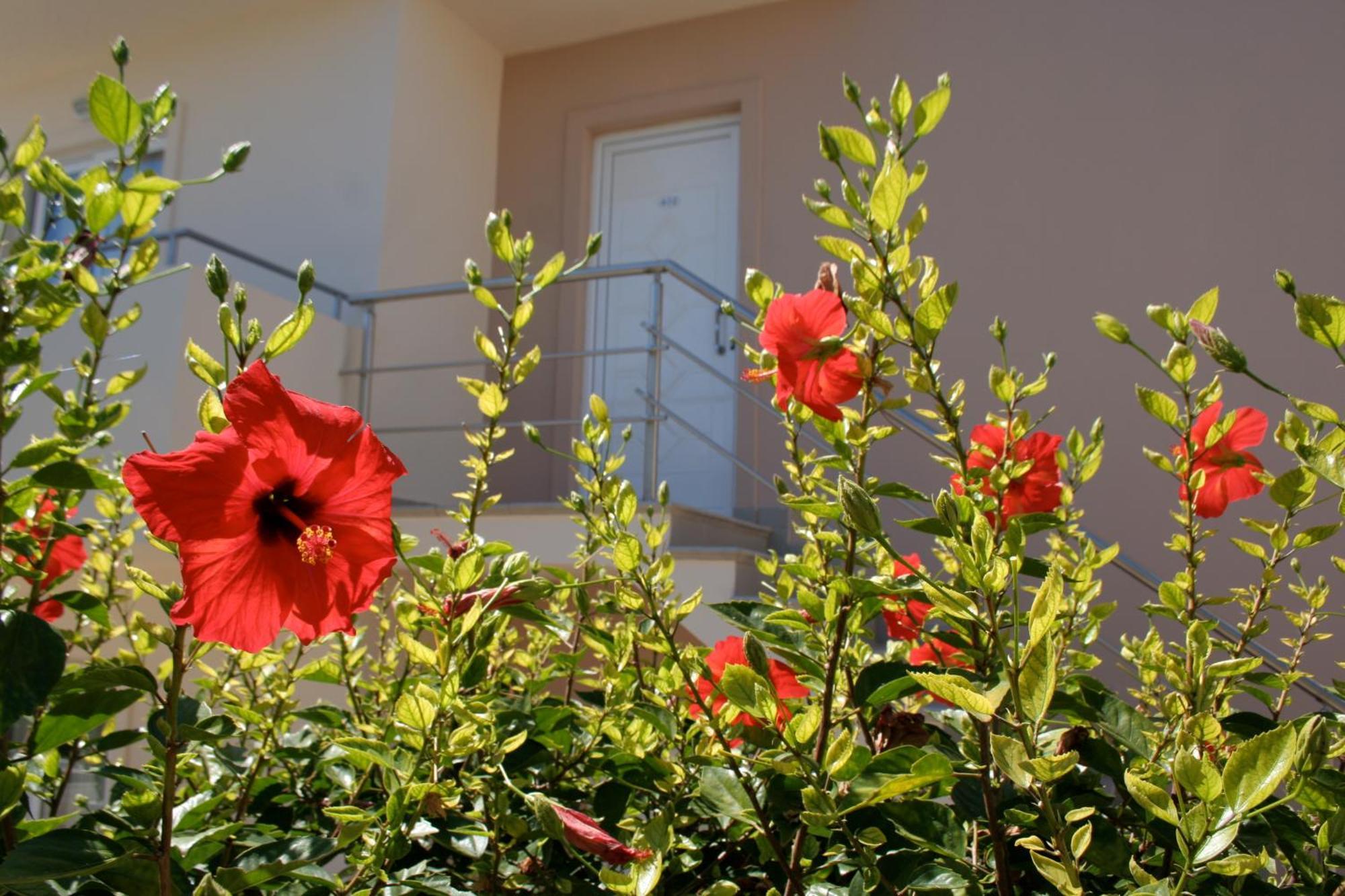 Amaryllis Front Beach Hotel Lardos Exterior foto